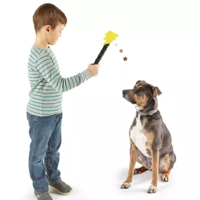 Product Brightkins Magic Wand Training Dispenser Bolt