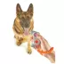 Brightkins Pooch Clicker Trainer Gamepad image thumbnail 2