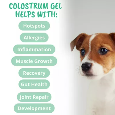 Product Under The Weather's Vital Colostrum for Dog