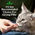 Greenies Feline Pill Pockets For Cats, Soft Cat Treats, Catnip Flavor, 1.6 oz Pouch, 45 Count image thumbnail 3
