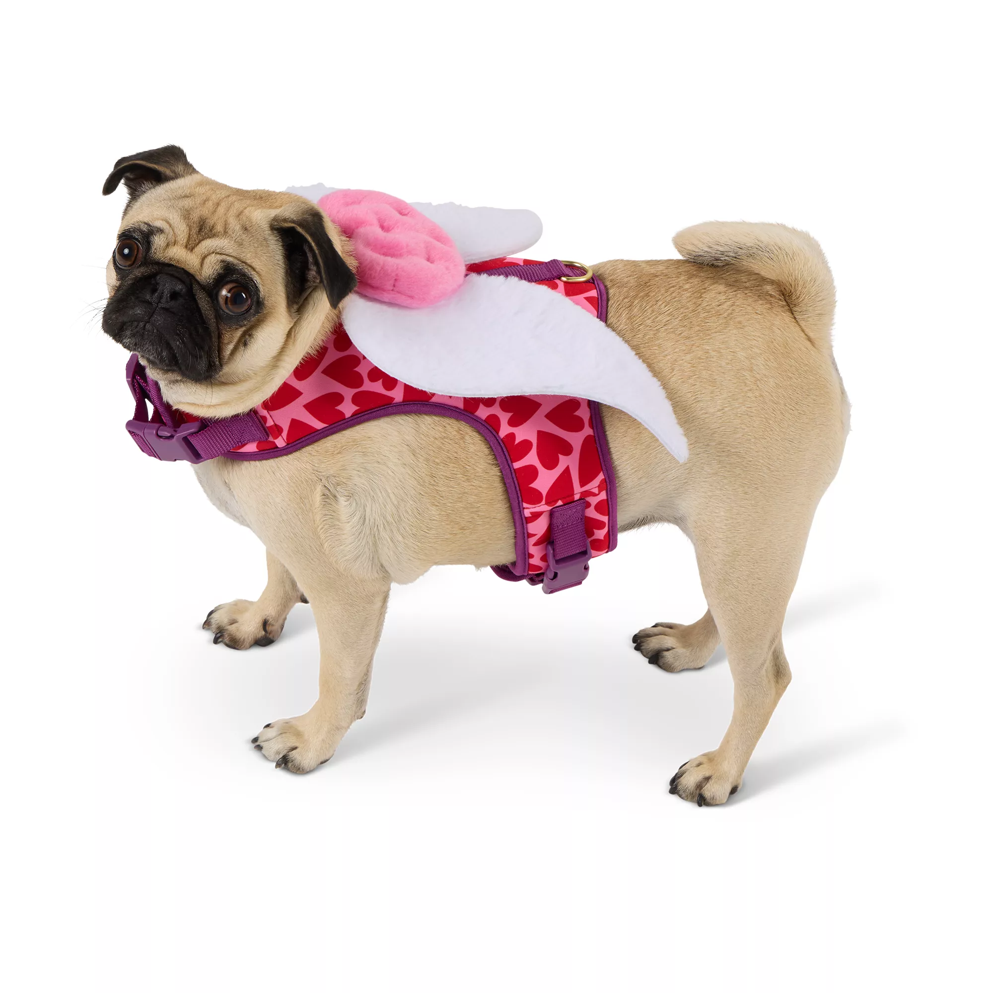 Top Paw® Valentine#s Day Wings Cute Comfort Vest Harness