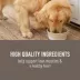 Simply Nourish Adult Wet Dog Food - Beef & Vegetable in Broth, 10 oz image thumbnail 3