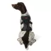 KONG® Safety Dog Harness, Adjustable, Durable, Multiple Sizes & Colors image thumbnail 1