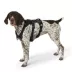 KONG® Safety Dog Harness, Adjustable, Durable, Multiple Sizes & Colors image thumbnail 2
