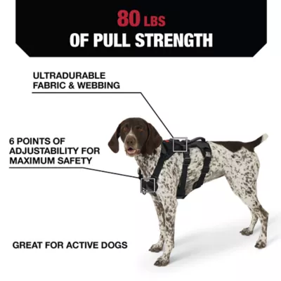 Product Kong® Safety Dog Harness