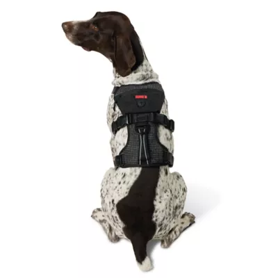 Product Kong® Safety Dog Harness
