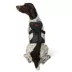 KONG® Safety Dog Harness, Adjustable, Durable, Multiple Sizes & Colors image thumbnail 1