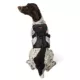 Product Kong® Safety Dog Harness