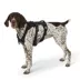 KONG® Safety Dog Harness, Adjustable, Durable, Multiple Sizes & Colors image thumbnail 2