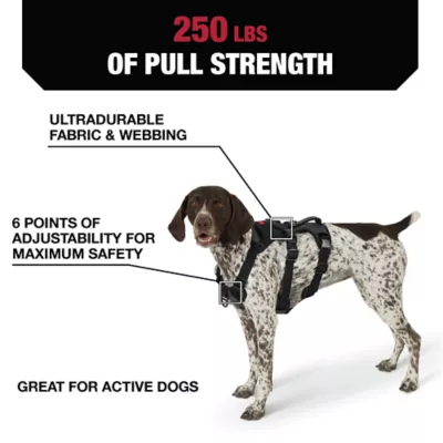 Product Kong® Safety Dog Harness