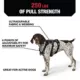 Product Kong® Safety Dog Harness