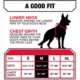 Product Kong® Safety Dog Harness