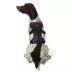 KONG® Safety Dog Harness, Adjustable, Durable, Multiple Sizes & Colors image thumbnail 1