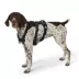 KONG® Safety Dog Harness, Adjustable, Durable, Multiple Sizes & Colors image thumbnail 2