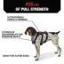 KONG® Safety Dog Harness, Adjustable, Durable, Multiple Sizes & Colors image thumbnail 3