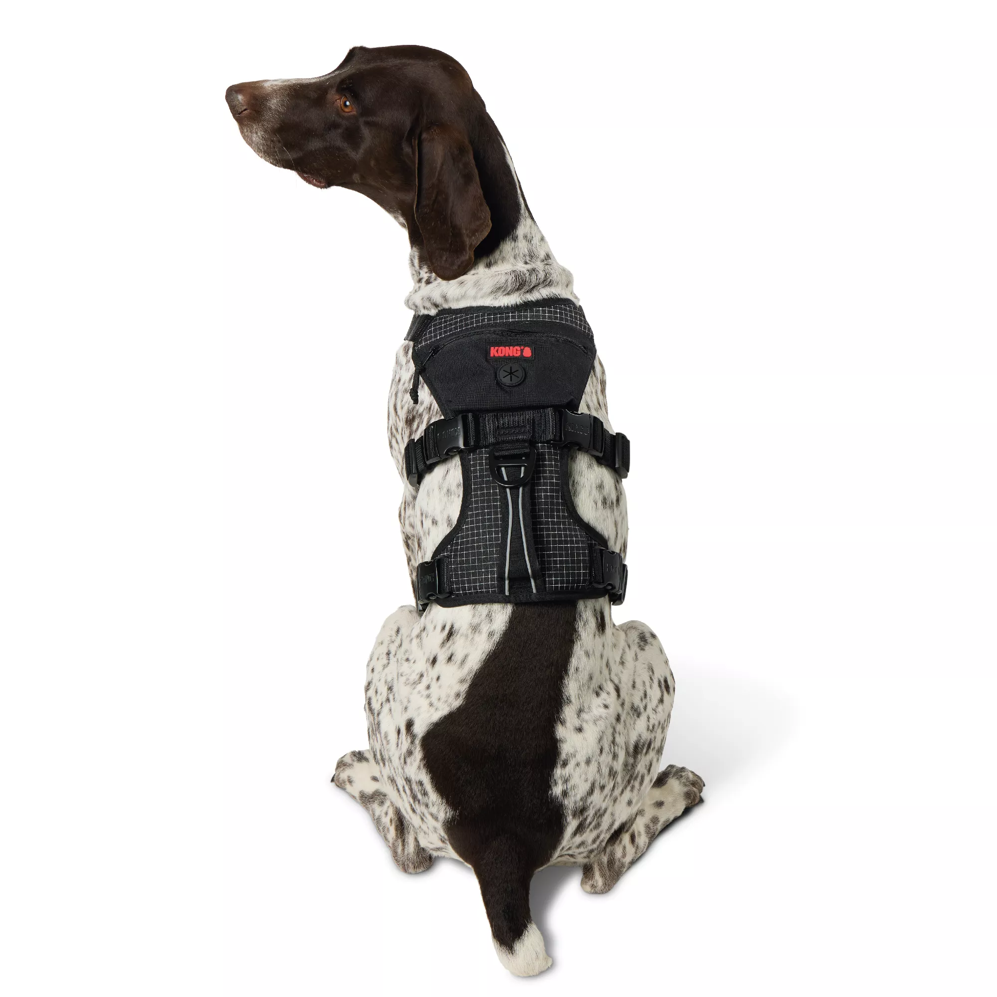 Kong® Safety Dog Harness