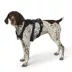KONG® Safety Dog Harness, Adjustable, Durable, Multiple Sizes & Colors image thumbnail 2