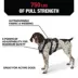 KONG® Safety Dog Harness, Adjustable, Durable, Multiple Sizes & Colors image thumbnail 3
