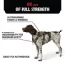 KONG® Safety Dog Harness, Adjustable, Durable, Multiple Sizes & Colors image thumbnail 3