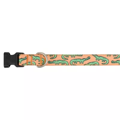 Top Paw® Alligator Fashion Dog Collar - Image 1