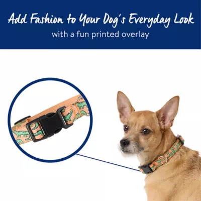 Top Paw® Alligator Fashion Dog Collar - Image 2
