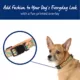 Product Top Paw® Alligator Fashion Dog Collar