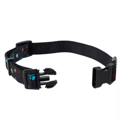 Top Paw® Paw Prints Fashion Dog Collar - Image 1