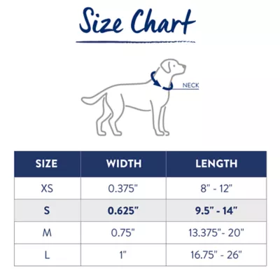 Top Paw® Paw Prints Fashion Dog Collar - Image 4