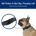 Top Paw® Paw Prints Fashion Dog Collar image thumbnail 2