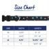 Top Paw® Paw Prints Fashion Dog Collar image thumbnail 4