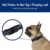 Top Paw® Paw Prints Fashion Dog Collar image thumbnail 2