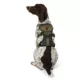 Product Kong® Safety Dog Harness