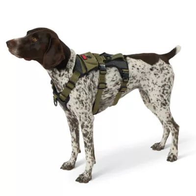 Product Kong® Safety Dog Harness
