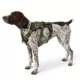 Product Kong® Safety Dog Harness