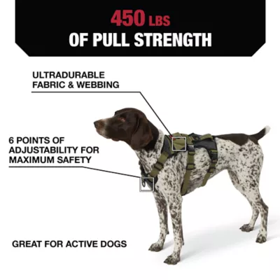 Product Kong® Safety Dog Harness