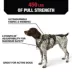 KONG® Safety Dog Harness, Adjustable, Durable, Multiple Sizes & Colors image thumbnail 3