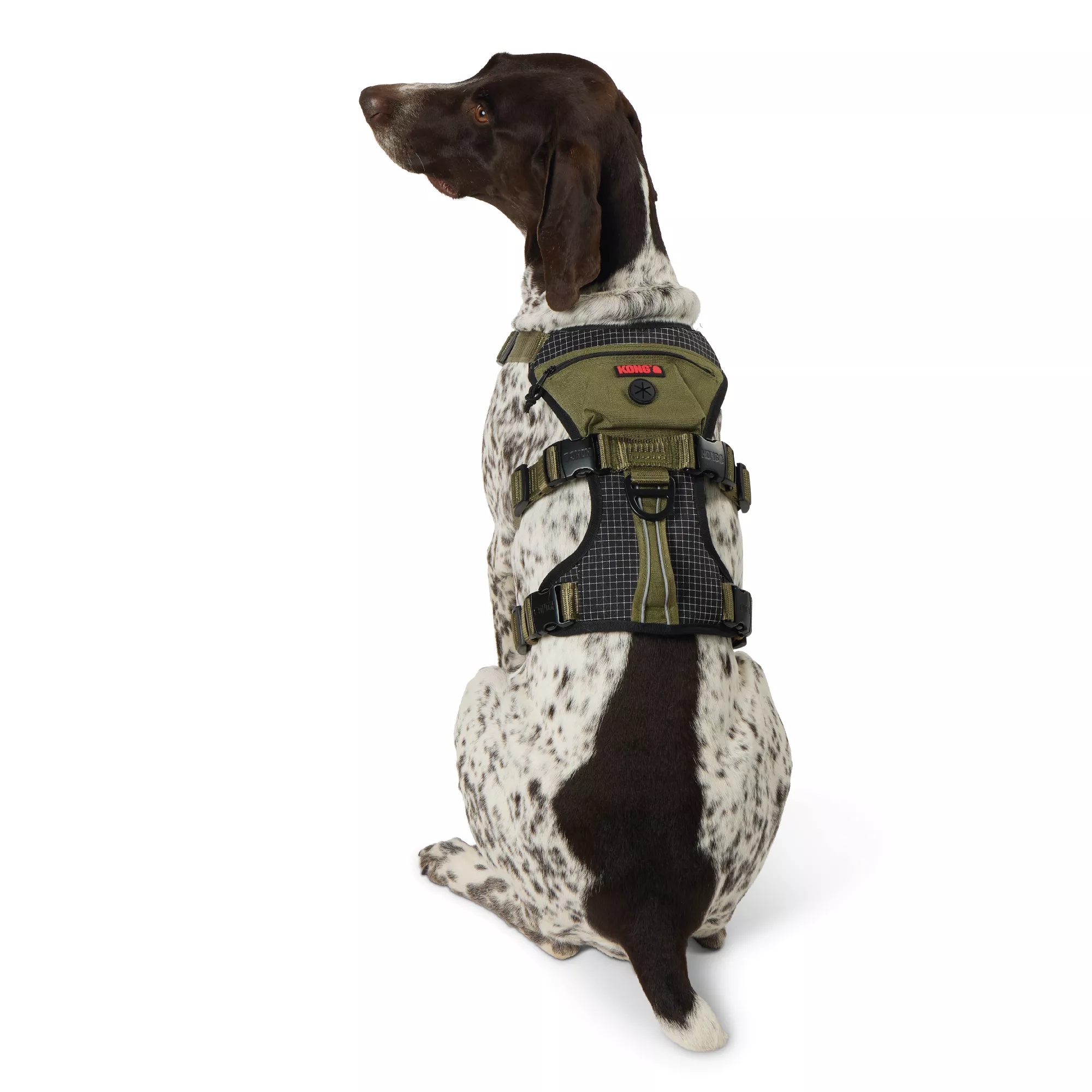 Kong® Green Safety Dog Harness