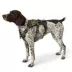 KONG® Safety Dog Harness, Adjustable, Durable, Multiple Sizes & Colors image thumbnail 2