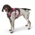 KONG® Safety Dog Harness, Adjustable, Durable, Multiple Sizes & Colors image thumbnail 2