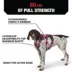 KONG® Safety Dog Harness, Adjustable, Durable, Multiple Sizes & Colors image thumbnail 3