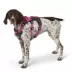 KONG® Safety Dog Harness, Adjustable, Durable, Multiple Sizes & Colors image thumbnail 2