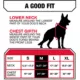 Product Kong® Safety Dog Harness
