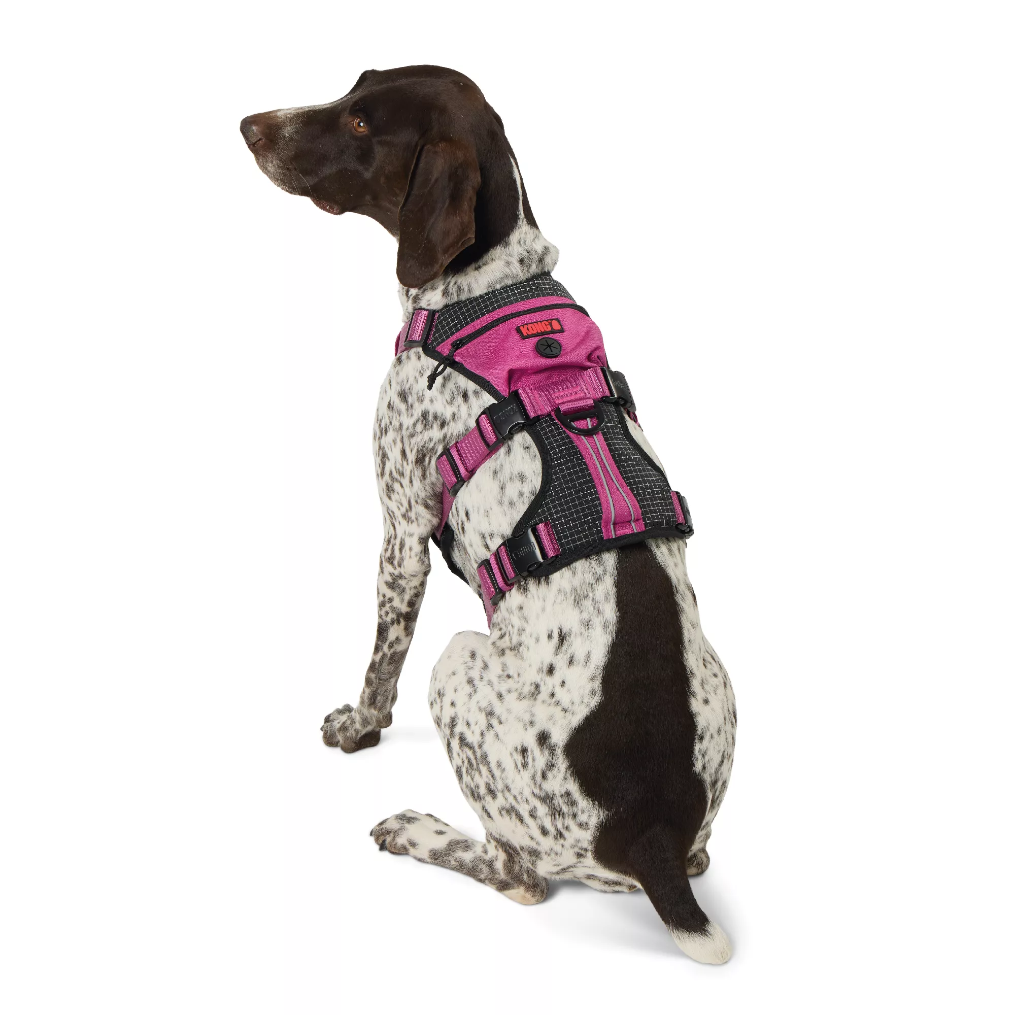 Kong® Pink Safety Dog Harness