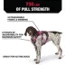 KONG® Safety Dog Harness, Adjustable, Durable, Multiple Sizes & Colors image thumbnail 3