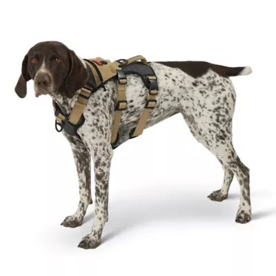 KONG® Safety Dog Harness, Adjustable, Durable, Multiple Sizes & Colors - Image 2