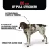 KONG® Safety Dog Harness, Adjustable, Durable, Multiple Sizes & Colors image thumbnail 3