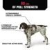 KONG® Safety Dog Harness, Adjustable, Durable, Multiple Sizes & Colors image thumbnail 3