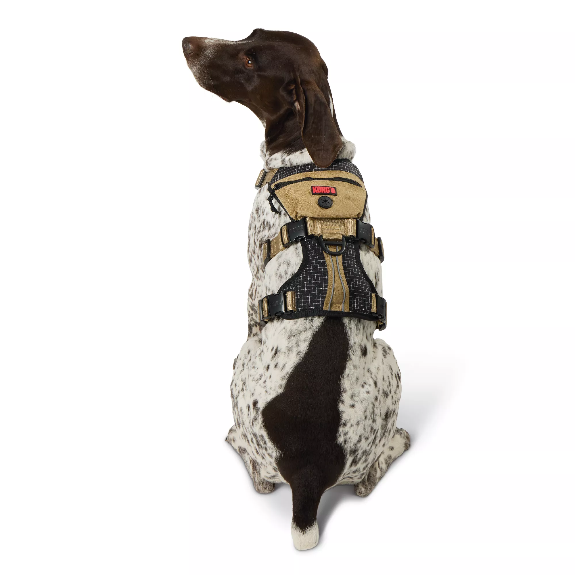 Kong® Tan Safety Dog Harness