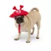 Top Paw® Valentine#s Day Dog Bucket Hat image thumbnail 1