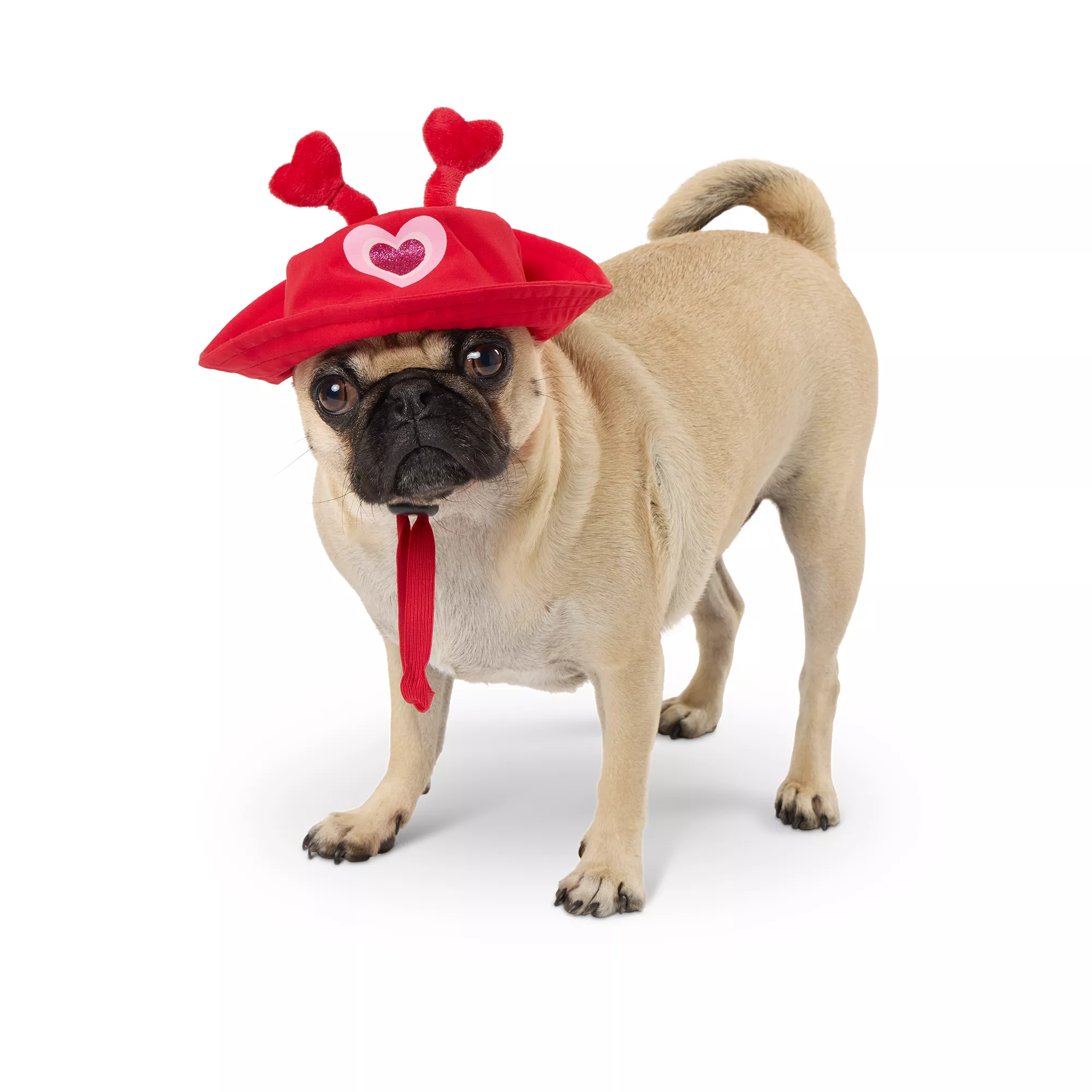 Top Paw® Valentine#s Day Dog Bucket Hat